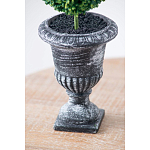 Декоративный искусственное растение Double boxwood варинант исполнения - 7 | Loft Concept в Нижнем Новгороде