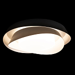 Потолочный светильник круглый черного цвета из металла Vita Cuna варинант исполнения - 1 | Loft Concept в Нижнем Новгороде