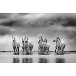 Книга Beusker. Look into my Eyes варинант исполнения - 4 | Loft Concept в Нижнем Новгороде