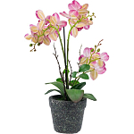 Декоративный искусственное растение Pink orchid варинант исполнения - 5 | Loft Concept в Нижнем Новгороде
