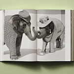 Книга в подарок творческий путь Брюса Вебера Bruce Weber. My Education варинант исполнения - 6 | Loft Concept в Нижнем Новгороде