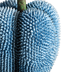 Статуэтка тропический фрукт Tropical Fruit blue варинант исполнения - 3 | Loft Concept в Нижнем Новгороде