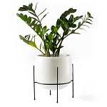 Кашпо из керамики Elevated Planters 32 варинант исполнения - 11 | Loft Concept в Нижнем Новгороде