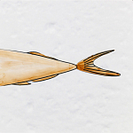 Плитка с узором Рыба Русалка варинант исполнения - 6 | Loft Concept в Нижнем Новгороде