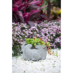 Кашпо A collection of baby rabbits варинант исполнения - 9 | Loft Concept в Нижнем Новгороде