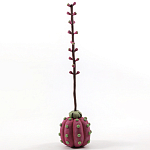 Статуэтка тропический фрукт Pandora Tropical Fruit Tall Pink Green варинант исполнения - 3 | Loft Concept в Нижнем Новгороде