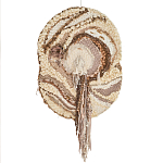 Овальный Современный Гобелен Абстракция в бежевых тонах Shallow варинант исполнения - 7 | Loft Concept в Нижнем Новгороде