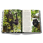 Подарочнный коллекционный фото альбом AFRICAN ADVENTURES NEW 2023 ASSOULINE HC UNBELIEVABLE ILLUSTRATIONS Safari варинант исполнения - 8 | Loft Concept в Нижнем Новгороде