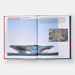 Radical Architecture of the Future варинант исполнения - 4 | Loft Concept в Нижнем Новгороде