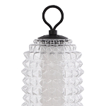 Настольная лампа с прозрачным факутрным стеклянным плафоном Sonora варинант исполнения - 3 | Loft Concept в Нижнем Новгороде