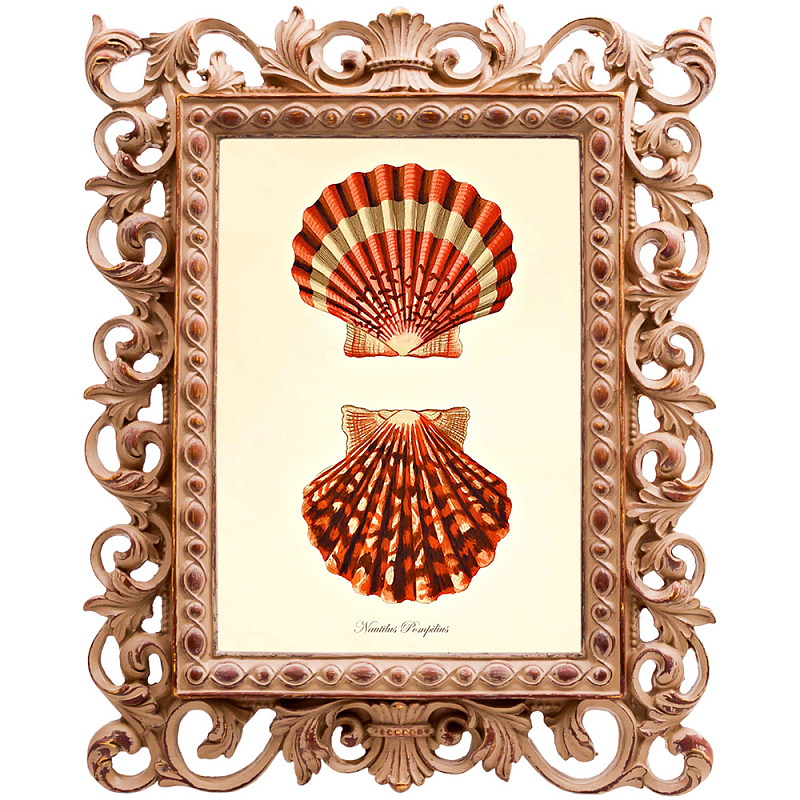 Постер Red Scallop Poster Бежевый Красный в Нижнем Новгороде | Loft Concept 