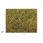 Редкое подарочное издание Yayoi Kusama: 1945 to Now варинант исполнения - 7 | Loft Concept в Нижнем Новгороде