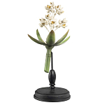 Статуэтка Wonderboom варинант исполнения - 1 | Loft Concept в Нижнем Новгороде