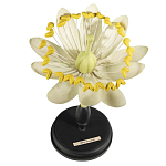 Статуэтка Tilia варинант исполнения - 1 | Loft Concept в Нижнем Новгороде