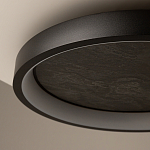 Потолочный светильник Orign 3000К варинант исполнения - 5 | Loft Concept в Нижнем Новгороде