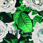 Штора Seletti Roses варинант исполнения - 1 | Loft Concept в Нижнем Новгороде