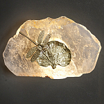 Бра Декоративный лист с стрекозой Glacial Fragment варинант исполнения - 2 | Loft Concept в Нижнем Новгороде