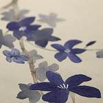 Обои ручная роспись Cherry Tree Original colourway on Stone Ochre dyed silk варинант исполнения - 3 | Loft Concept в Нижнем Новгороде