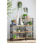 Кашпо Curly baby варинант исполнения - 4 | Loft Concept в Нижнем Новгороде