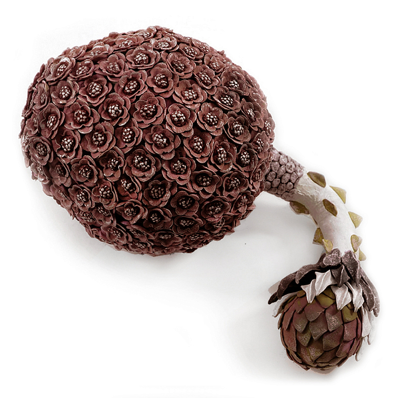 Коричневый фрукт Exotic Fruit Artichoke Brown 42 Коричневый Коричневый фрукт Exotic Fruit Artichoke Brown 42 Коричневый в Нижнем Новгороде | Loft Concept
