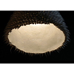 Светильник Acus варинант исполнения - 3 | Loft Concept в Нижнем Новгороде