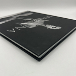 Коллекционная редкая книга Madonna: Nudes + by Martin H.M. Schreiber 2017 Букинистика варинант исполнения - 4 | Loft Concept в Нижнем Новгороде