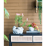 Кашпо A collection of baby rabbits варинант исполнения - 5 | Loft Concept в Нижнем Новгороде