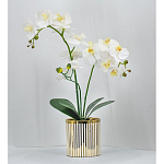 Декоративный искусственное растение Lush Orchid варинант исполнения - 2 | Loft Concept в Нижнем Новгороде