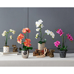 Декоративный искусственное растение Pink orchid варинант исполнения - 11 | Loft Concept в Нижнем Новгороде