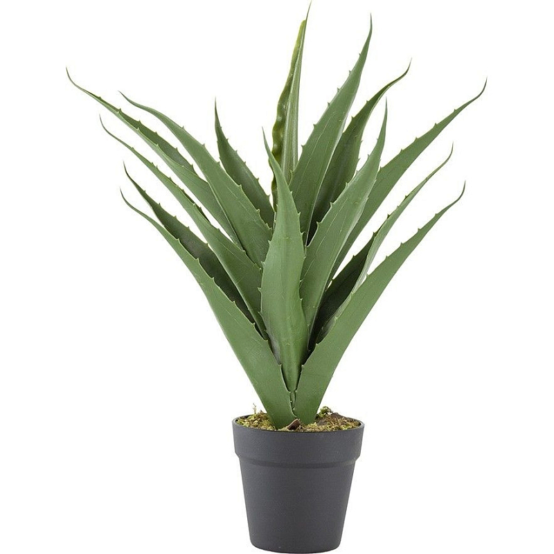 Декоративный искусственное растение Medium Aloe Зеленый Черный в Нижнем Новгороде | Loft Concept 