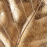 Статуэтка Metal Flowers Gold Black powder варинант исполнения - 2 | Loft Concept в Нижнем Новгороде