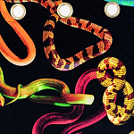 Штора Seletti Snakes Black варинант исполнения - 1 | Loft Concept в Нижнем Новгороде