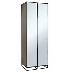 Двухдверный шкаф с зеркальными дверцами Strict Lines варинант исполнения - 1 | Loft Concept в Нижнем Новгороде