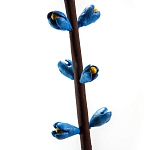 Синий экзотический фрукт статуэтка для интерьераTropical Fruit Pandora 9 варинант исполнения - 2 | Loft Concept в Нижнем Новгороде