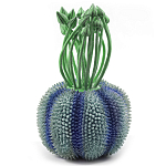 Статуэтка экзотический фрукт Exotic Tropical Fruit Green and Blue 64 варинант исполнения - 1 | Loft Concept в Нижнем Новгороде