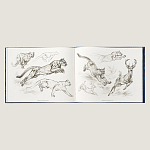 Лимитированная подарочная книга HERMES Fierce and Fragile book, English version варинант исполнения - 4 | Loft Concept в Нижнем Новгороде