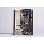 Книга Fantastic Gustave Dore варинант исполнения - 3 | Loft Concept в Нижнем Новгороде