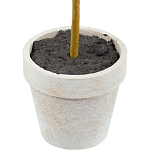 Декоративный искусственное растение Boxwood One варинант исполнения - 3 | Loft Concept в Нижнем Новгороде