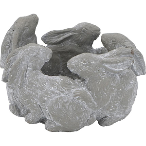 Кашпо A collection of baby rabbits