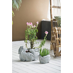 Кашпо A collection of baby rabbits варинант исполнения - 4 | Loft Concept в Нижнем Новгороде