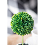 Декоративный искусственное растение Boxwood One варинант исполнения - 8 | Loft Concept в Нижнем Новгороде