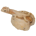 Статуэтка из дерева ящерица Animals of the World варинант исполнения - 2 | Loft Concept в Нижнем Новгороде