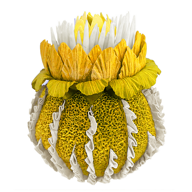 Желтый Экзотический фрукт Yellow Pandora Exotic Fruit 44 Желтый Желтый Экзотический фрукт Yellow Pandora Exotic Fruit 44 Желтый в Нижнем Новгороде | Loft Concept