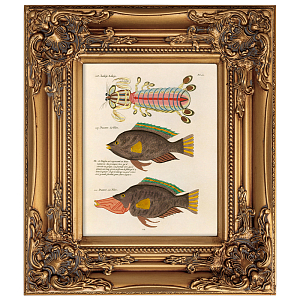 Постер в раме из натурального дерева Fishes 8