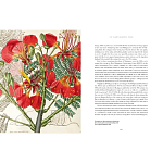 Прекрасно иллюстрированная книга более 100 ботанических произведений Plant Hunters Atlas варинант исполнения - 5 | Loft Concept в Нижнем Новгороде