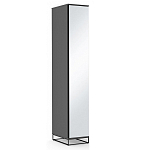 Шкаф-пенал с зеркальной дверцей и фасадом цвета графит Strict Lines варинант исполнения - 2 | Loft Concept в Нижнем Новгороде