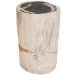 Стул из окаменелого дерева Petrified Wood варинант исполнения - 1 | Loft Concept в Нижнем Новгороде