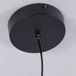 Люстра подвесная светодиодная черный металл Ring Horizontal варинант исполнения - 6 | Loft Concept в Нижнем Новгороде