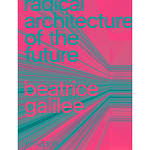 Radical Architecture of the Future варинант исполнения - 1 | Loft Concept в Нижнем Новгороде