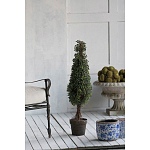 Декоративный искусственное растение Boxwood tree варинант исполнения - 6 | Loft Concept в Нижнем Новгороде
